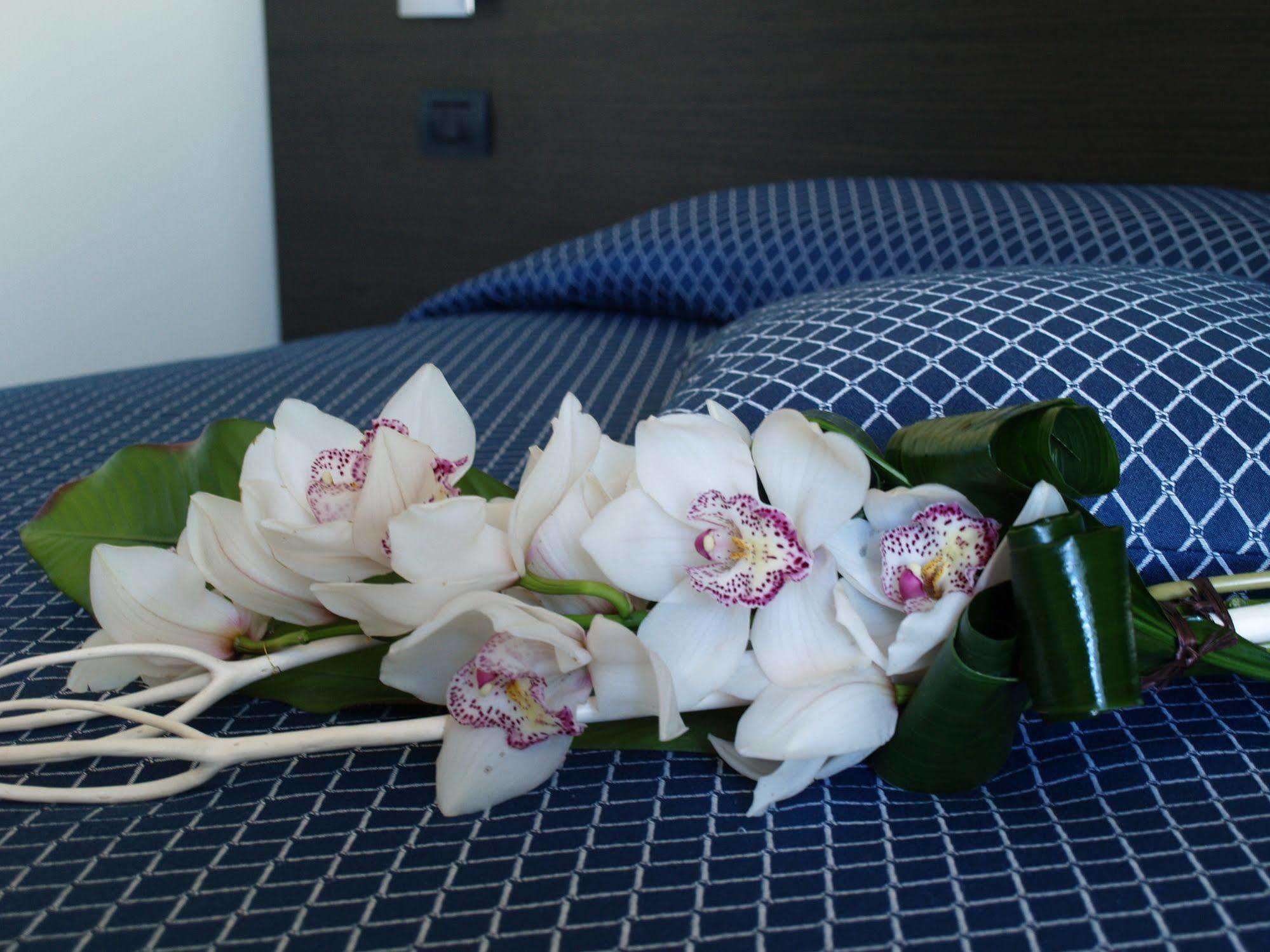 Draconerium Hotel Dronero Εξωτερικό φωτογραφία